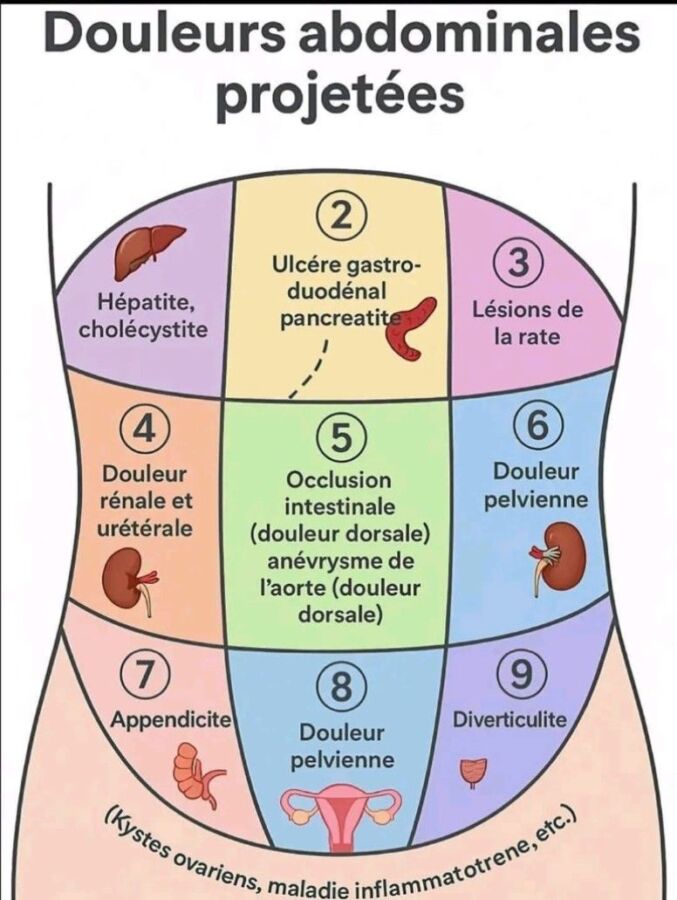 Annuaire santé minimaliste