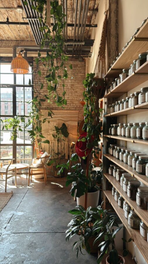 Officine herboristerie design
